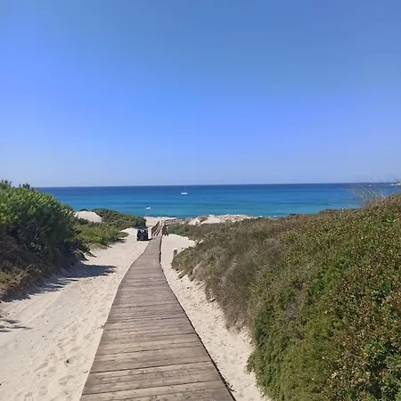 Il Tramonto Sulle Dune